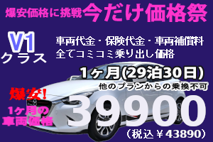 V1クラス 夏の沖縄とことん満喫祭 (29泊30日)
